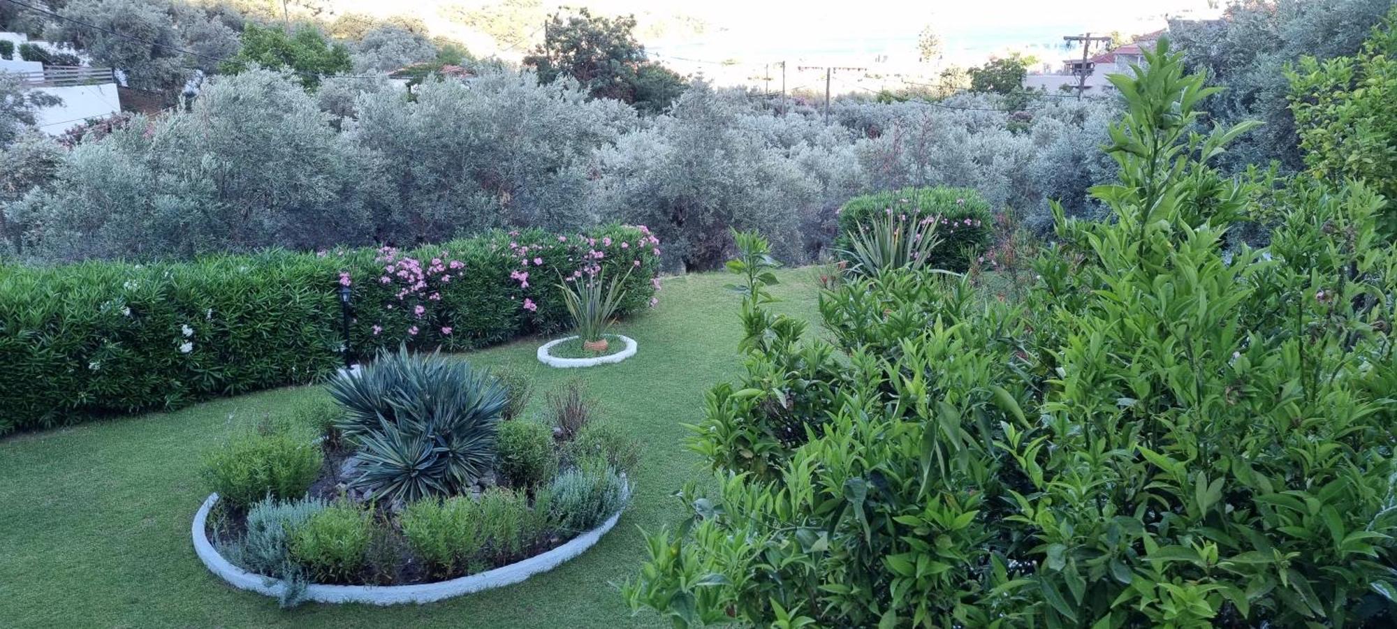 Olive Grove Studios Megali Ammos  Exteriör bild